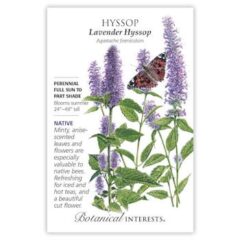 Lavender Hyssop Seeds, Heirloom, Native