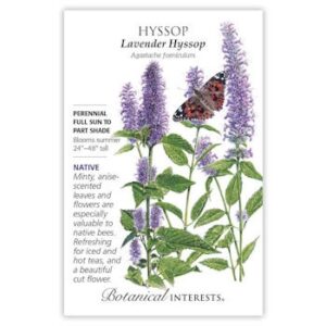 Hyssop Lavender Hyssop