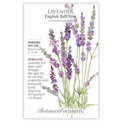 English Tall/Vera Lavender Seeds, Heirloom
