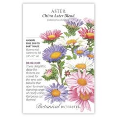 China Aster Blend