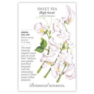 Sweet Pea High Scent