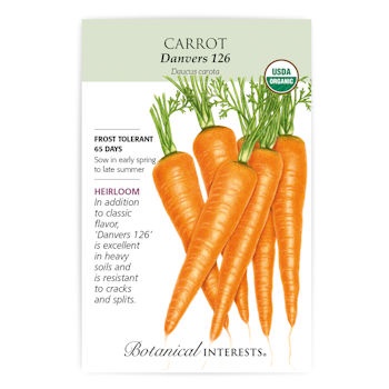 Danvers 126 Carrot Seeds ORG