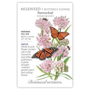 Narrowleaf Milkweed/Butterfly Flower Seeds, Native