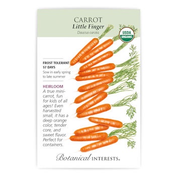 Little Finger Carrot Seeds ORG