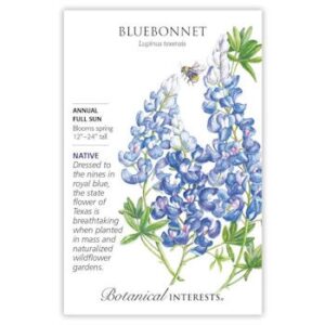 Bluebonnet Seeds, Heirloom, Native
