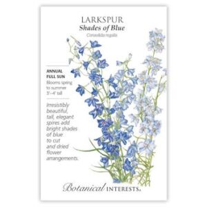 Shades of Blue Larkspur Seeds