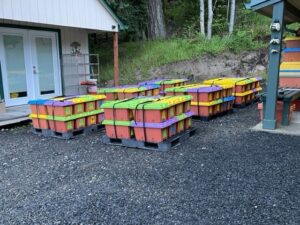 Colorful nuc boxes arranged outside a building