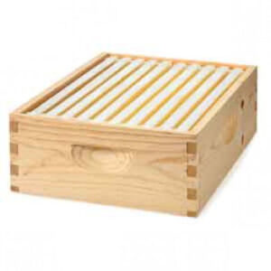 Super Special, 10 frame