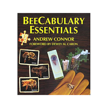 BeeCabulary Essentials