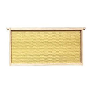 Deep Frame w/Yellow Rite Cell Foundation