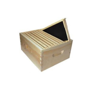 Deep Special w/Black foundation